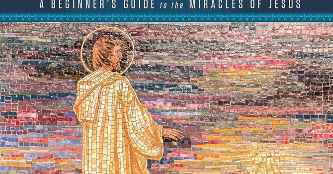 Signs and Wonders image