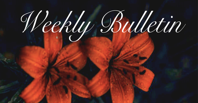 Bulletin for August 2 & 3, 2025 image