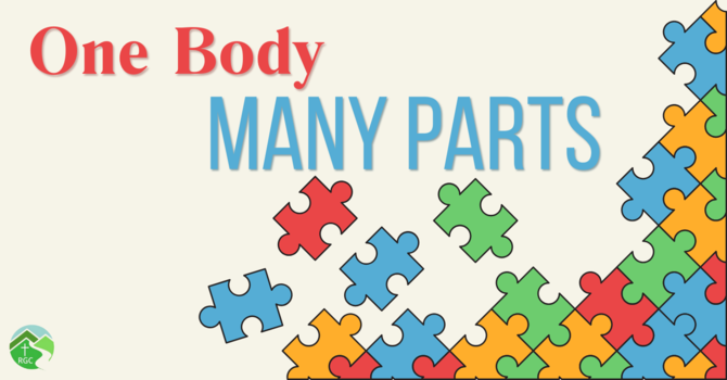 One Body Many Parts