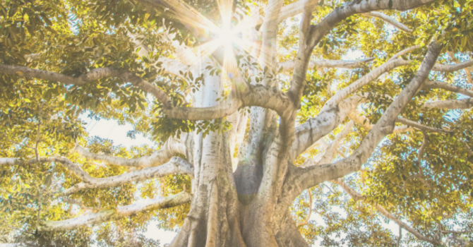 Believe: Who am I Becoming? Discussion Group