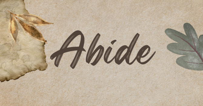 Abide Classes
