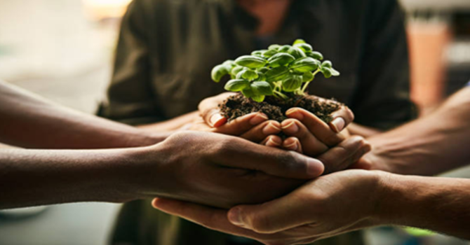 Discipleship and Mentorship