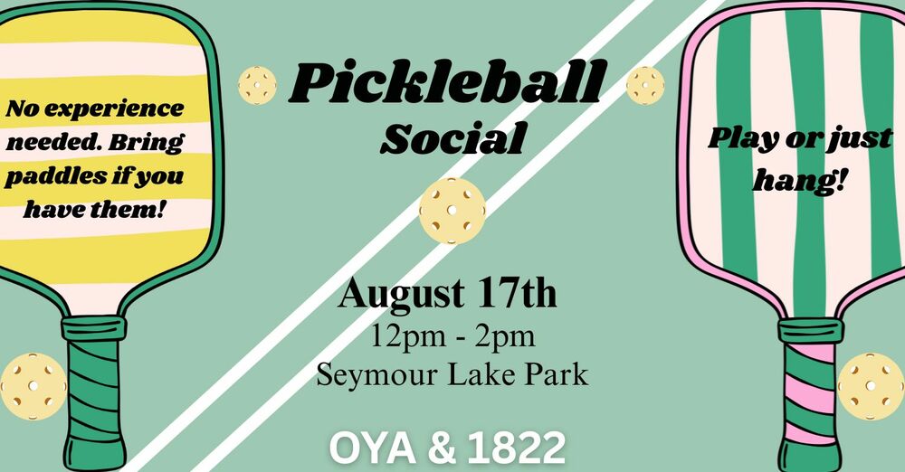 Pickleball Match