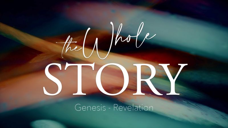 God’s Rescue Plan