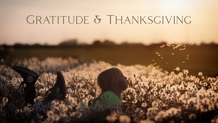 Gratitude & Thanksgiving