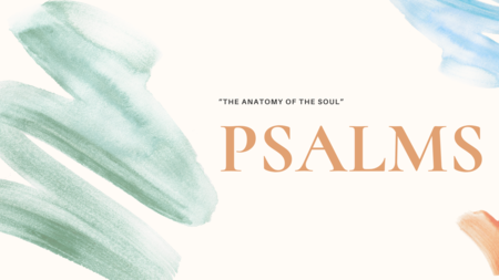 The Anatomy of the Soul
