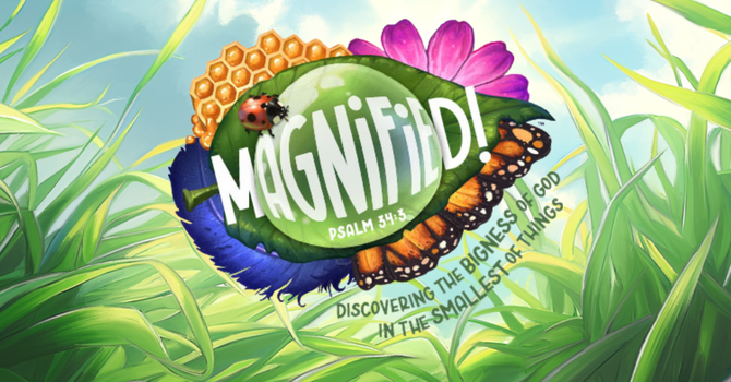 Magnified!