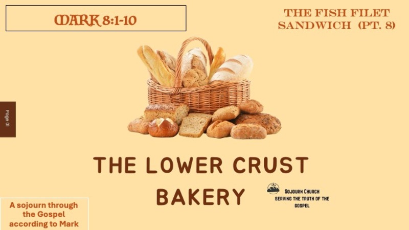 The Lower Crust