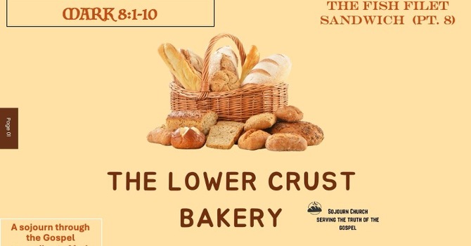 The Lower Crust