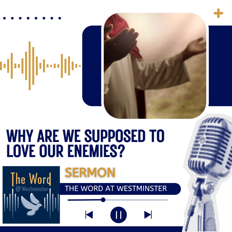 Why are we supposed to love our enemies? (Sermon)
