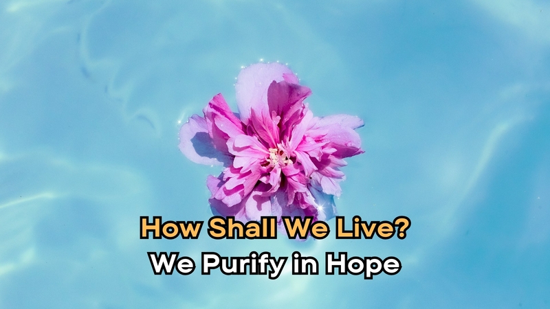 "We Purify in Hope"