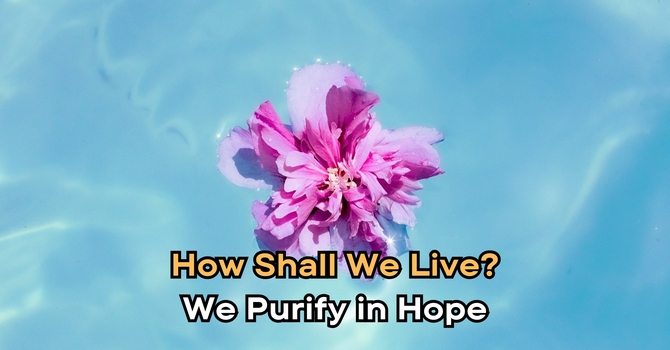 "We Purify in Hope"