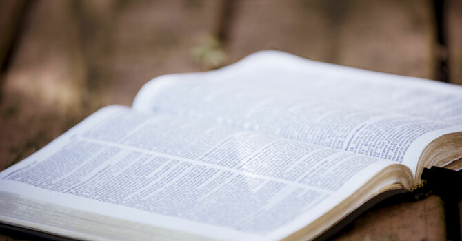 Eight Sunday after Pentecost