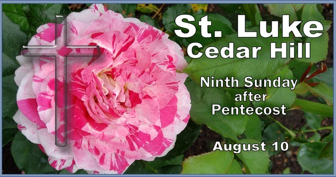 This Sunday's Service at 10 am