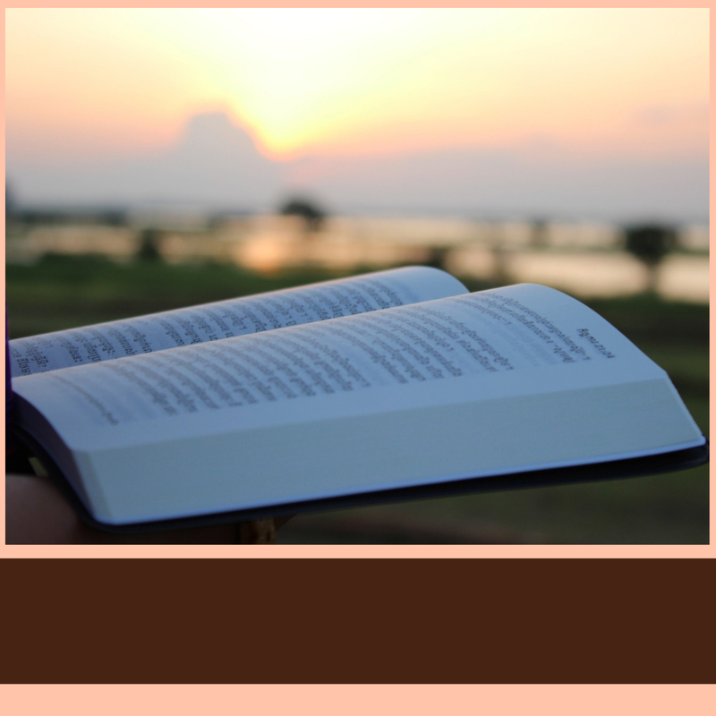 God Reveals what the Enemy Conceals