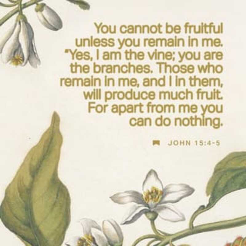 "Apart From Me You Can Do Nothing"