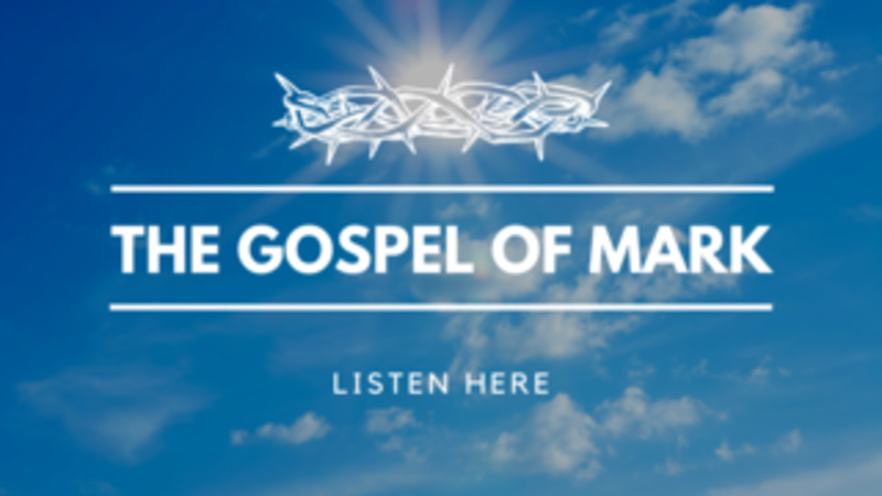 Introduction to Mark