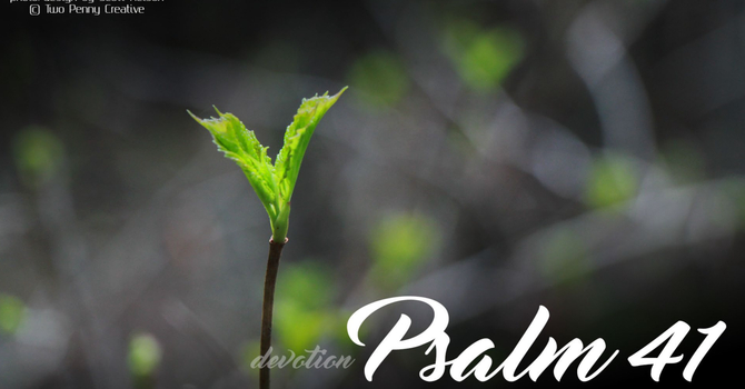 Psalm 41