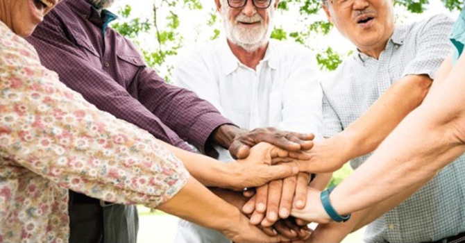 Unity in the Church image
