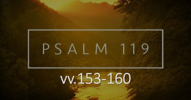 Reflections from the Psalms image