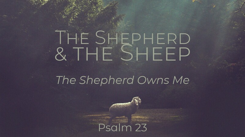 "The Shepherd & the Sheep | The Shepherd Owns Me"