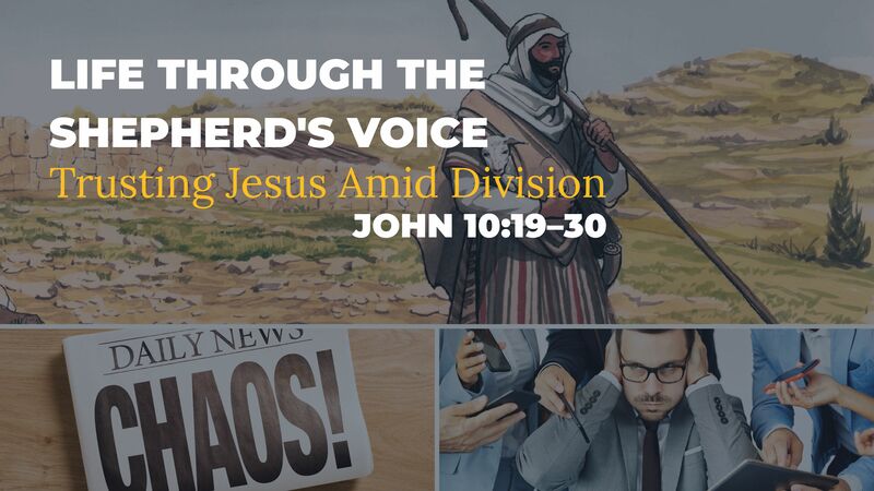 Life Through the Shepherd's Voice