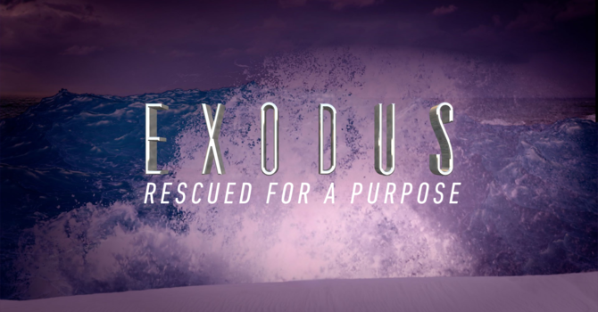 God's Laws, Our Reponsibility