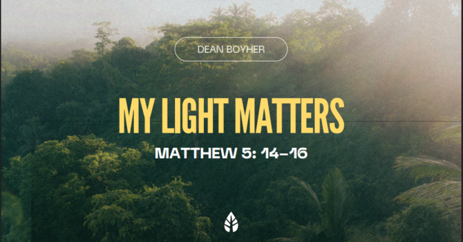 My Light Matters