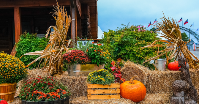 Fall Festival