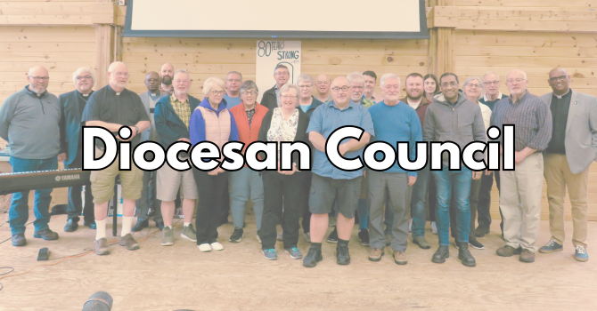 Diocesan Council