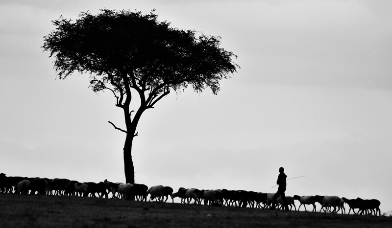 The Lord is My Shepherd