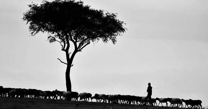 The Lord is My Shepherd