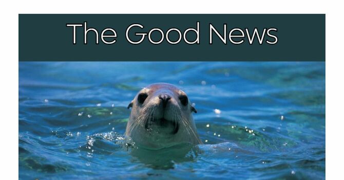 The Good News | August 2025 image