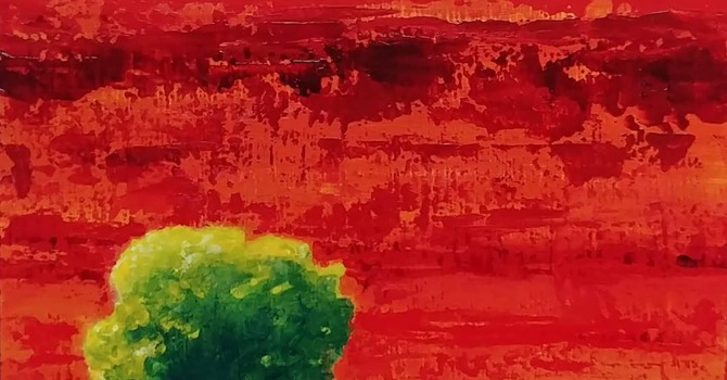 Contemplative Activism in Challenging Times
