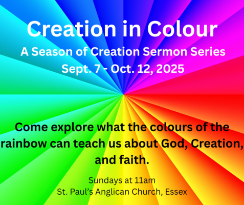 Creation in Colour