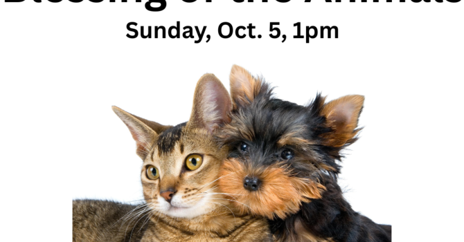 Blessing of the Animals