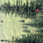 nav image