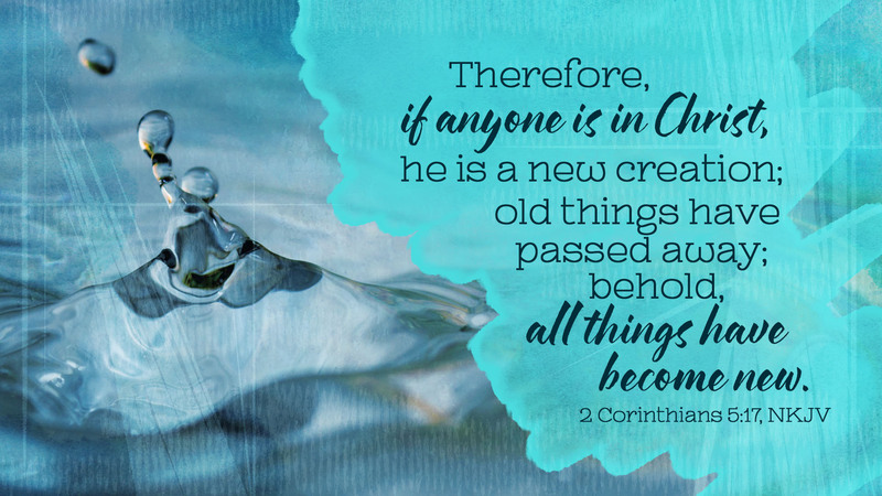 THE SEVENTH SUNDAY AFTER PENTECOST