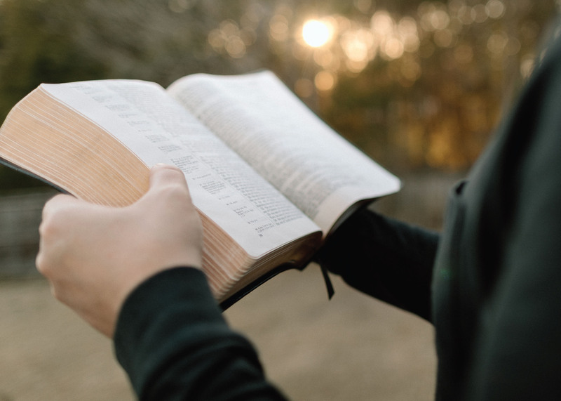 THE EIGHTH SUNDAY AFTER PENTECOST