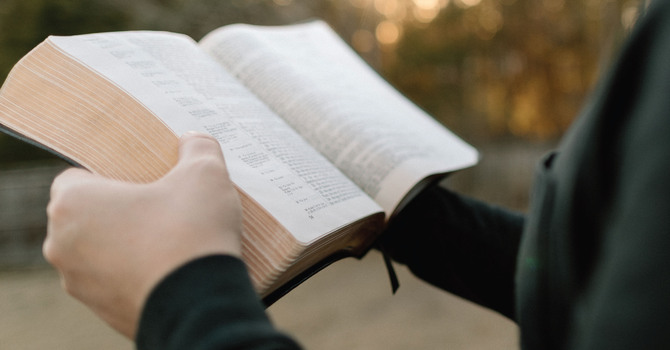 THE EIGHTH SUNDAY AFTER PENTECOST