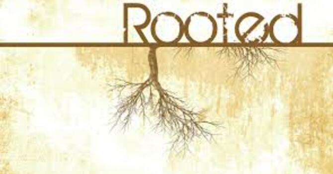 WellWatered The 3 “R’s”- ROOTED image