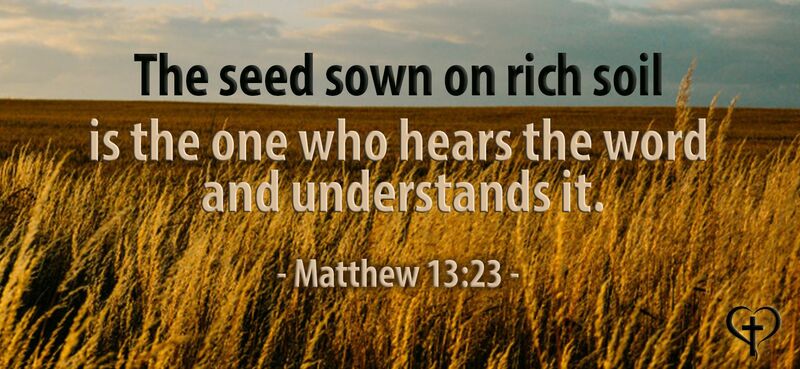 Parable: The Power of a Seed