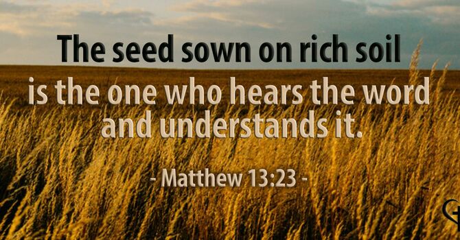 Parable: The Power of a Seed