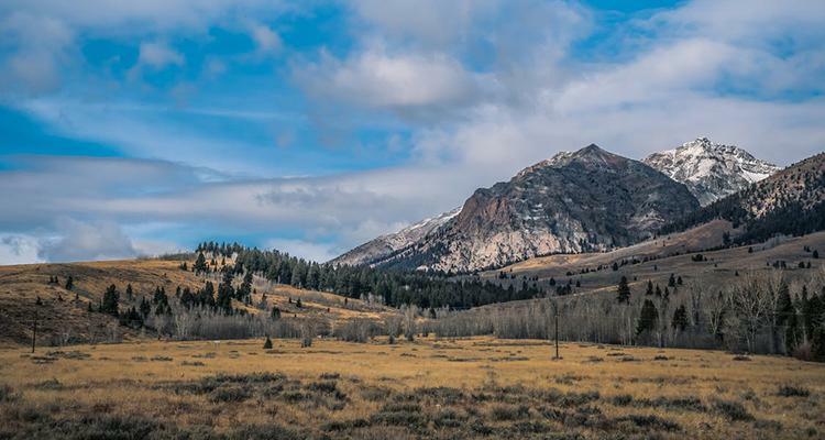 Slideshow image