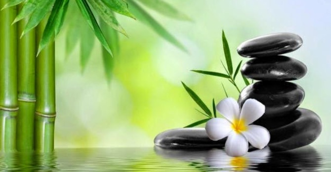 Day of Mindfulness/Zen