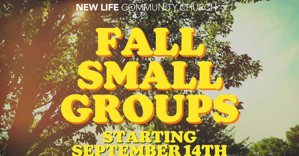 Scarred for Good: Fall Small Groups