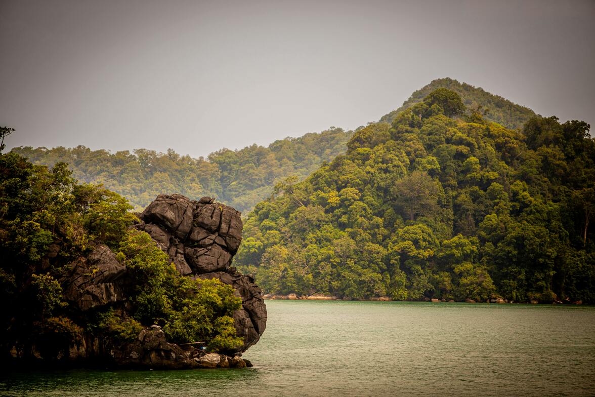 Slideshow image