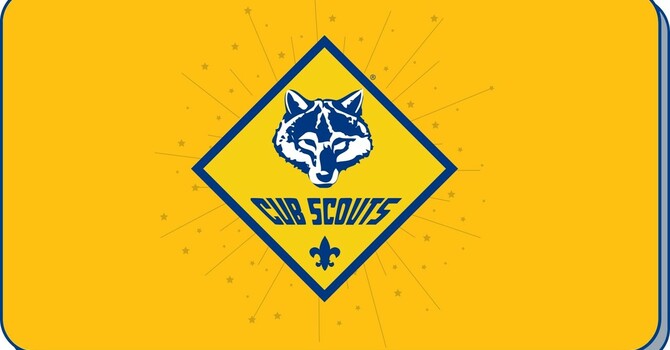 Cub Scouts Activity