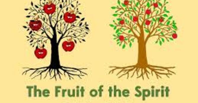 The "Other" Work of the Holy Spirit