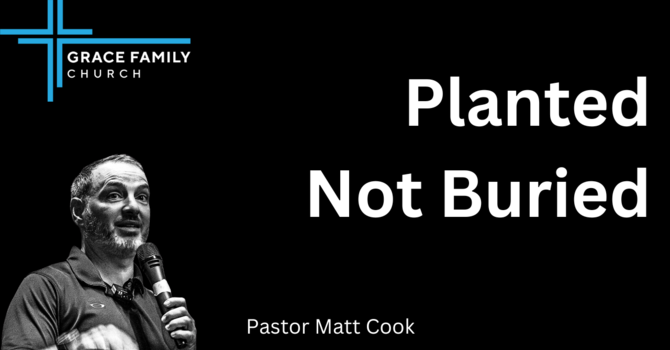 Planted Not Buried image